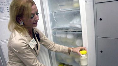 El primer Banco de Leche Materna del país fue inaugurado en 2015 en el hospital San Martín de La Plata. (Archivo)