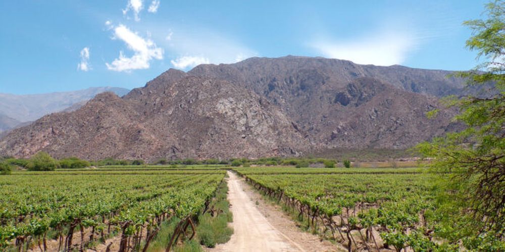 Tierras rurales en el país.