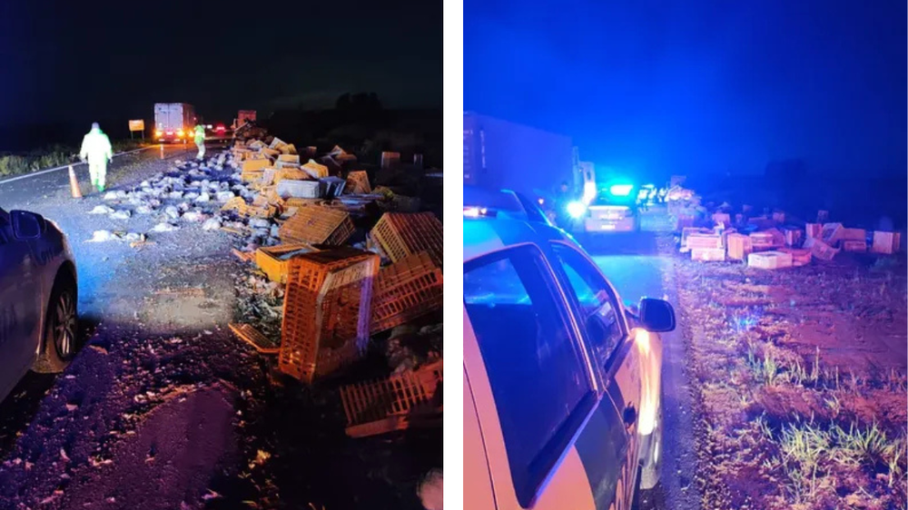 Vuelcos de camiones a la altura del kilómetro 206 de la ruta 8.