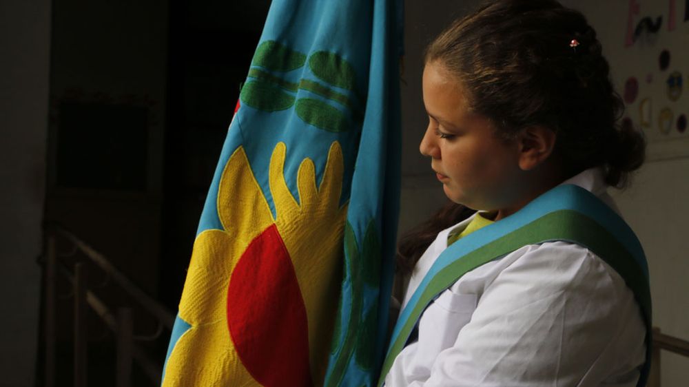Una niña con la bandera bonaerense.&nbsp;