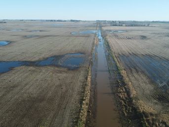 Las inundaciones complican a los campos bonaerenses. 