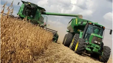 La cosecha está temporada será mucho más cara.