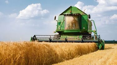 El Gobierno eliminará el Fondo Estabilizador del Trigo Argentino (FETA).