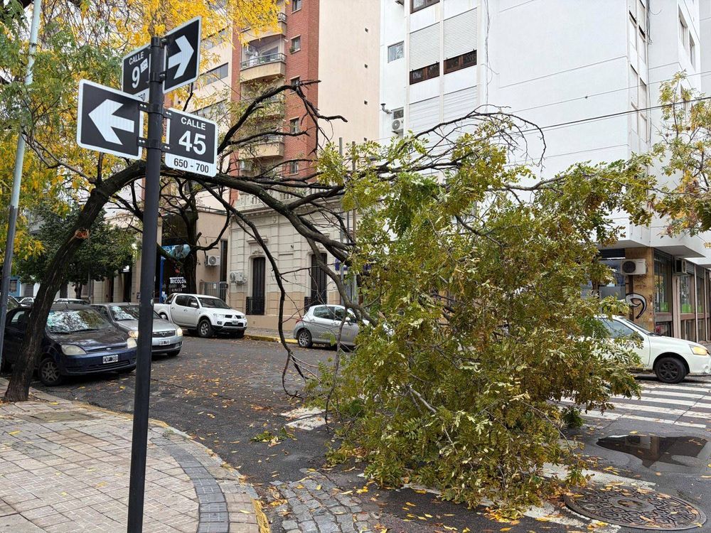 Las consecuencias del temporal en La Plata.