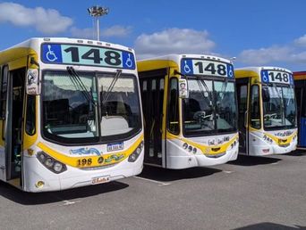 Un paro sorpresivo de colectivos afecta desde la madrugada de este viernes a miles de pasajeros de la zona sur del conurbano bonaerense. Un paro sorpresivo de colectivos afecta desde la madrugada de este viernes a miles de pasajeros de la zona sur del conurbano bonaerense.