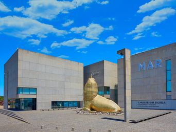 llega la muestra vidas submarinas al museo mar