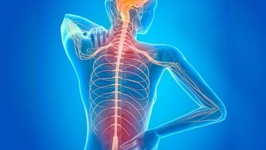 El diagnóstico temprano y el acceso precoz al tratamiento son claves en la EM.