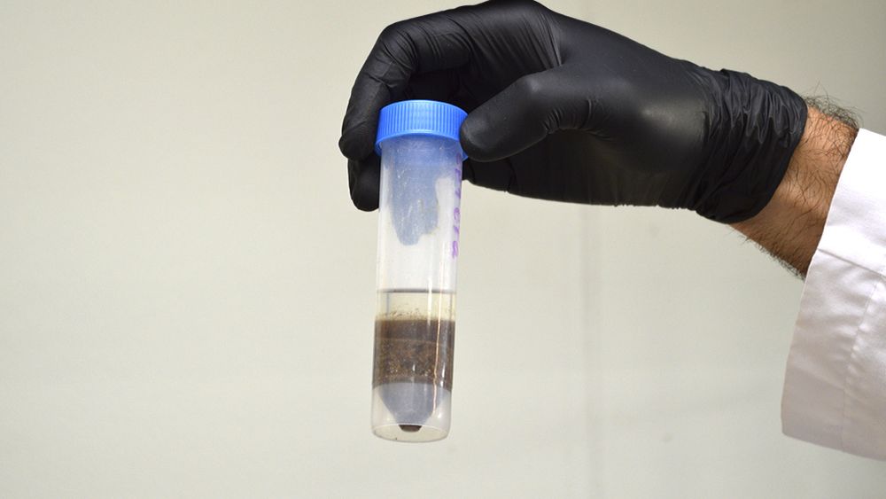 agua contaminada la plata