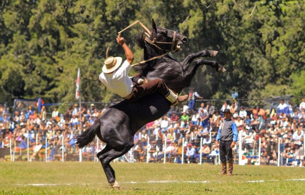 Entre muchas actividades, se puede ver una jineteada bien criolla en General Madariaga. (Madariaga Turismo)