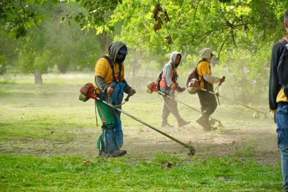 Un equipo de la municipalidad de La Plata corta el pasto como medida de prevención para combatir la proliferación de mosquitos. (Prensa MLP)