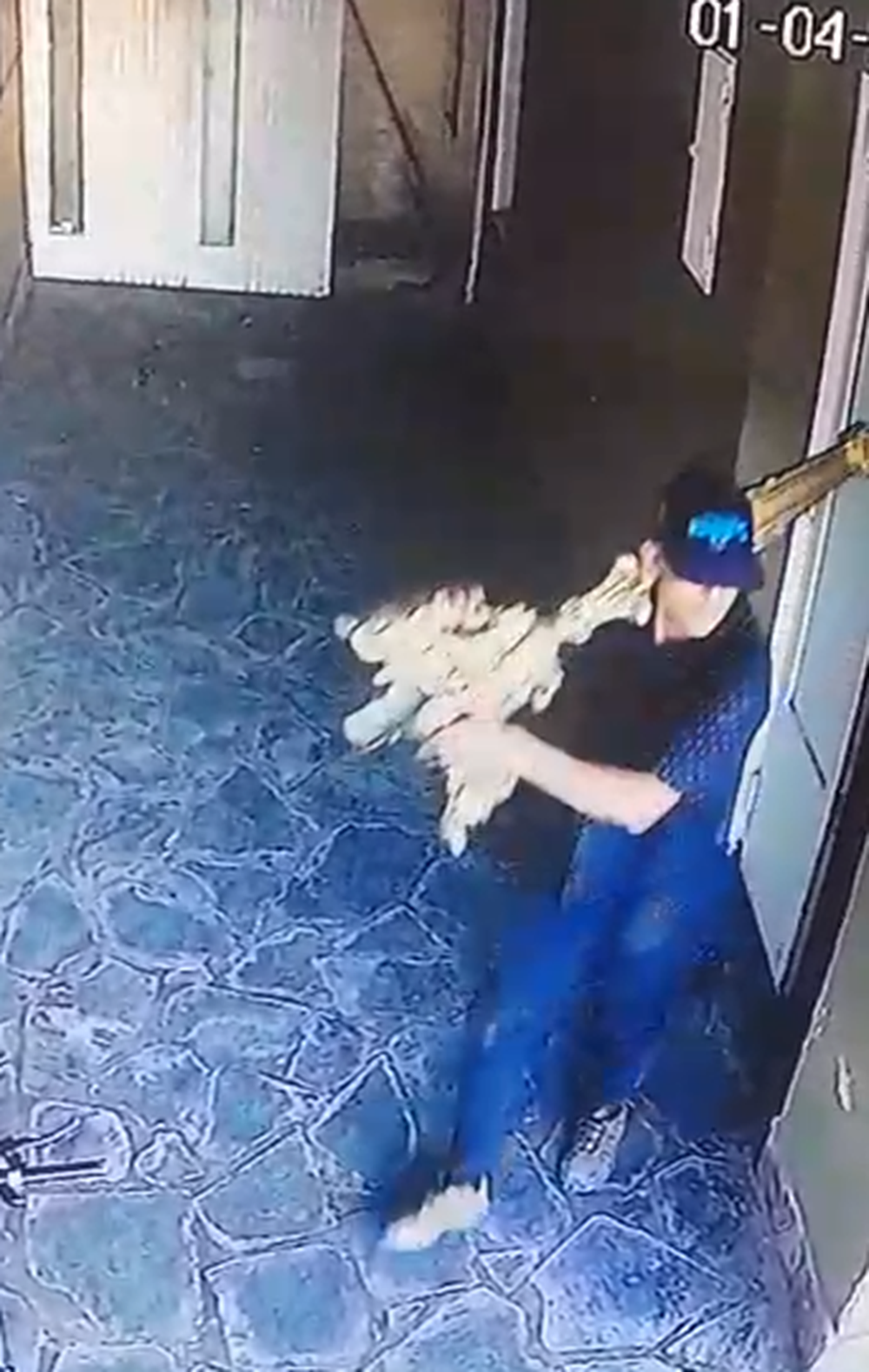 Robo en una iglesia de San Nicolás.