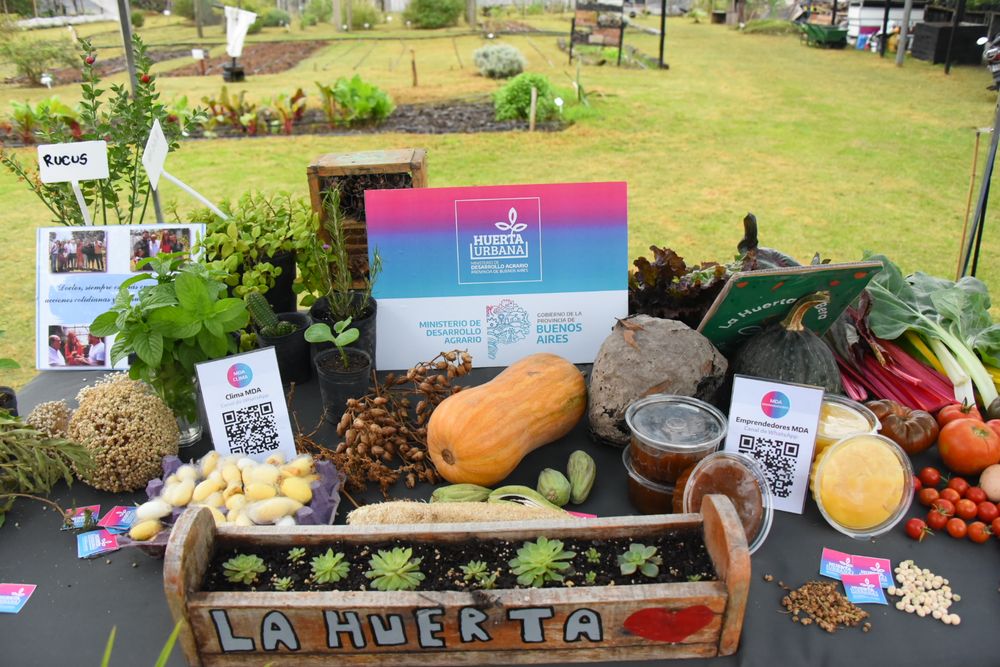 El Programa Huerta Urbana ya entregó más de un millón y medio de plantines desde su implementación en 2024.