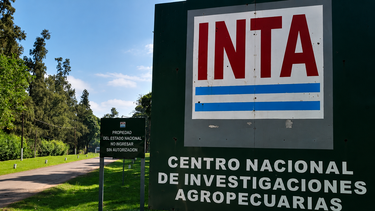 Novedades sobre el INTA.&nbsp;