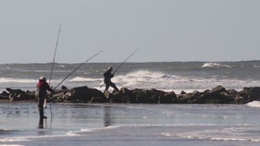 La pesca en la costa.
