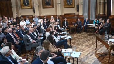 SenadoReunion de asuntos constitucionales comisión Atuche ezequiel Bartolome AbdalaFoto Federico Lopez Claro