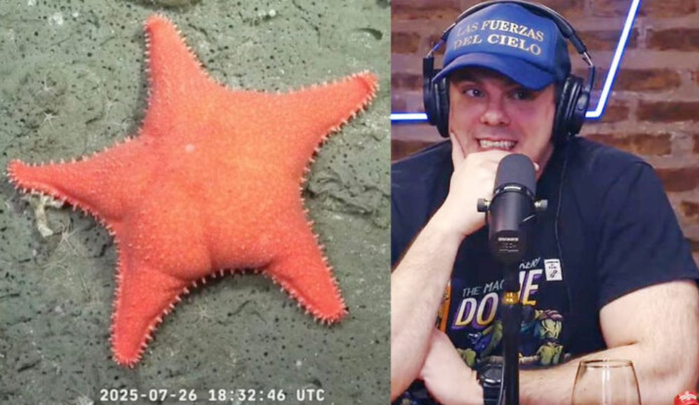 El Gordo Dan, derrotado por el streaming del Conicet.