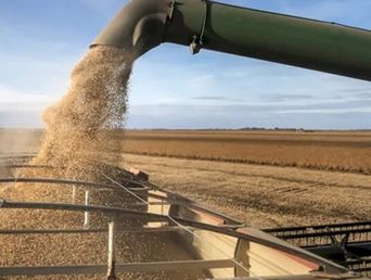 La cotización de la soja sigue en ascenso. La cotización de la soja sigue en ascenso.