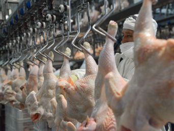 Novedades para el mercado de la carne argentina. Novedades para el mercado de la carne argentina.