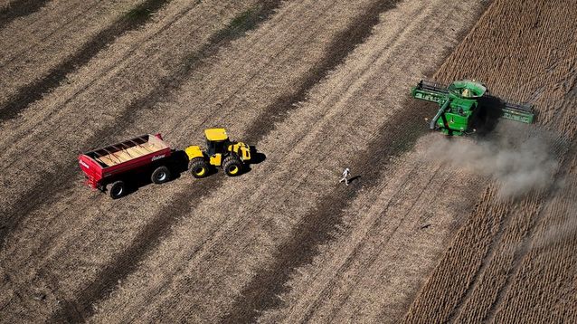 Un campo desde una vista aérea.&nbsp;