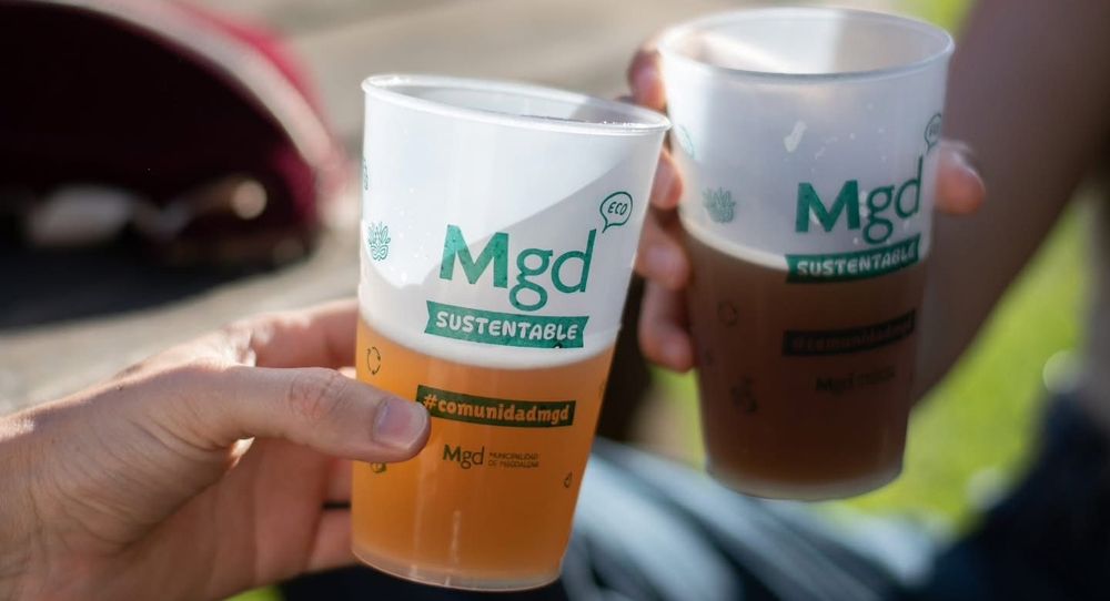 Fiesta de la Cerveza en Magdalena rs