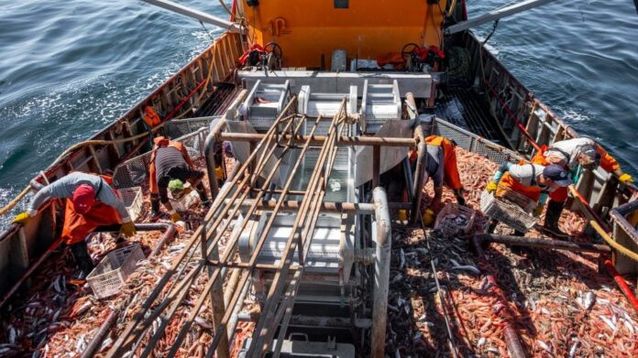 Los buques congeladores vuelven al mar para la pesca de langostinos. (La Capital – Archivo)