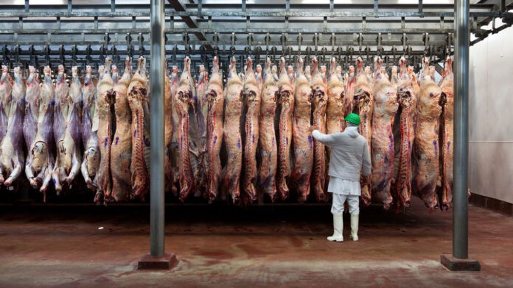 Novedades sobre el mercado de la carne.