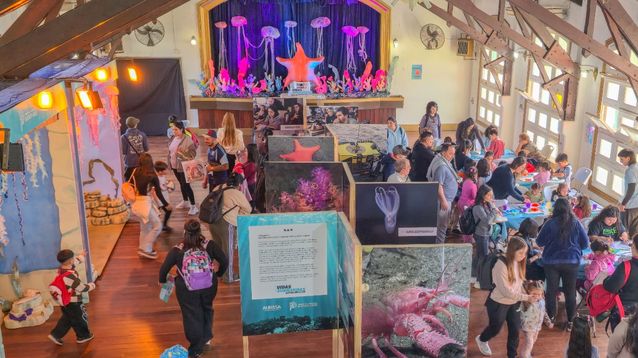 Más de 75 mil personas ya pasaron por la expo Vidas Submarinas.