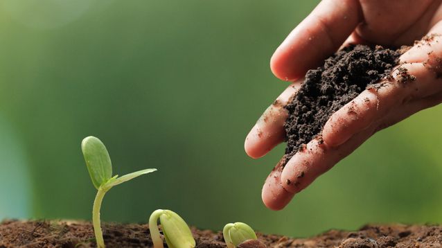 Segundo Congreso Provincial de Agroecología: convocan a investigadores y productores a presentar trabajos Segundo Congreso Provincial de Agroecología: convocan a investigadores y productores a presentar trabajos