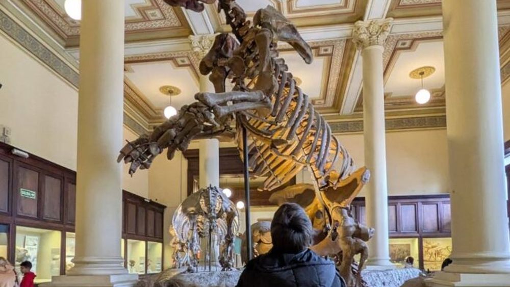 Museo de La Plata
