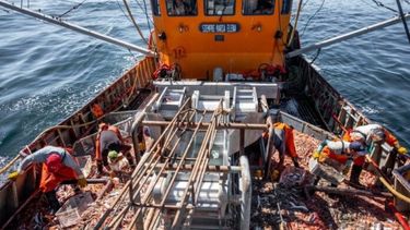Los buques congeladores permanecen amarrados en los puertos. - La Capital -