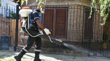 Una persona fumigando contra el dengue. (Archivo)