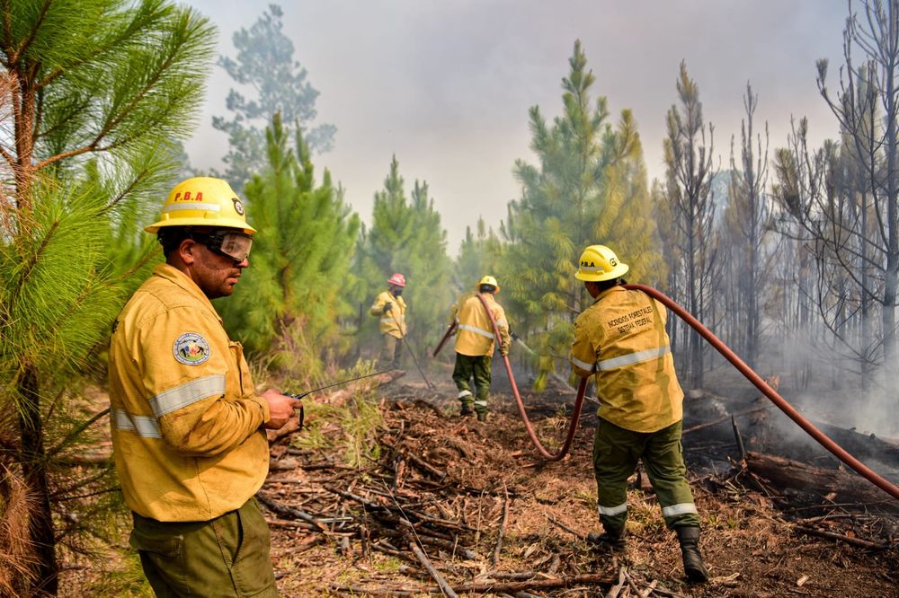 Los incendios afectan a gran parte del país.&nbsp;