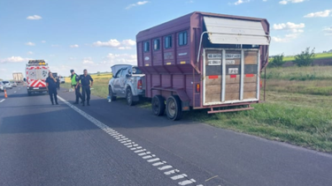 Las víctimas se encontraban a la vera de la ruta, auxiliando a una camioneta que transportaba caballos.