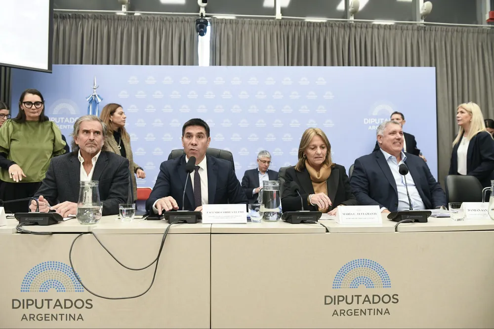 El debate en comisión del proyecto de la zona fría. 