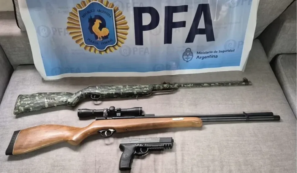 Las armas secuestradas en Hudson. (Policía Federal Argentina)
