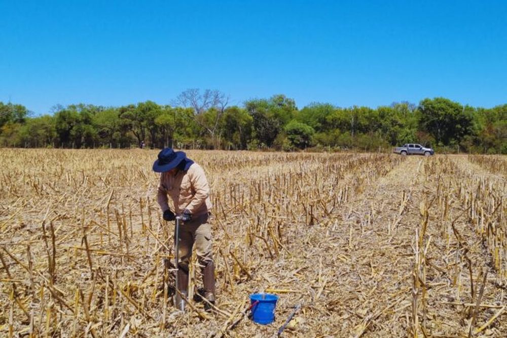 Una persona trabajando en el suelo de un campo.
