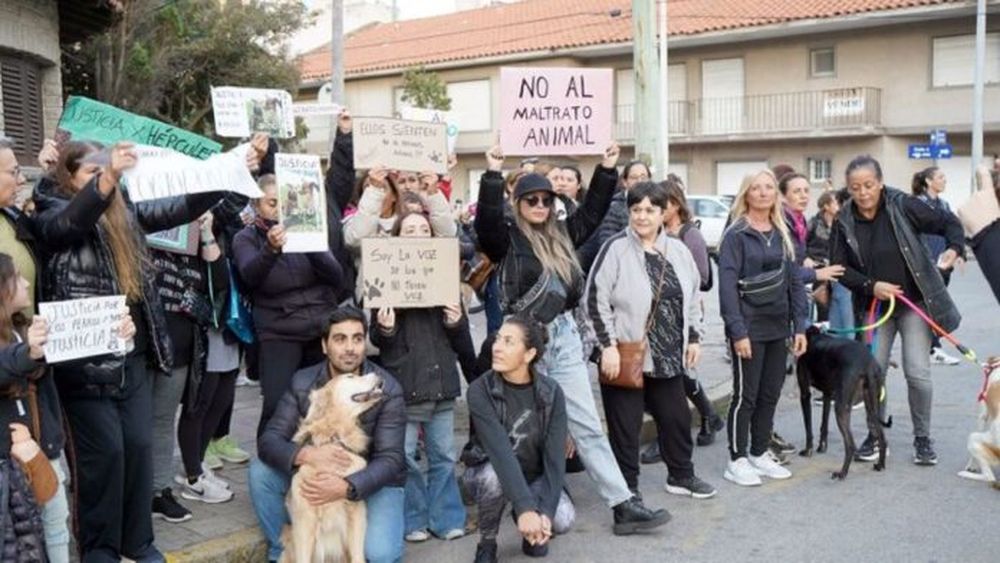 Denuncias de maltrato animal en Necochea. - Ecos Diarios -