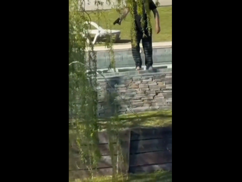 Imagen de uno de los videos en los que se ve a un hombre disparando a un grupo de carpinchos en Nordelta.&nbsp;
