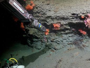 una mision historica: que dejo la expedicion submarina de schmidt ocean y el conicet