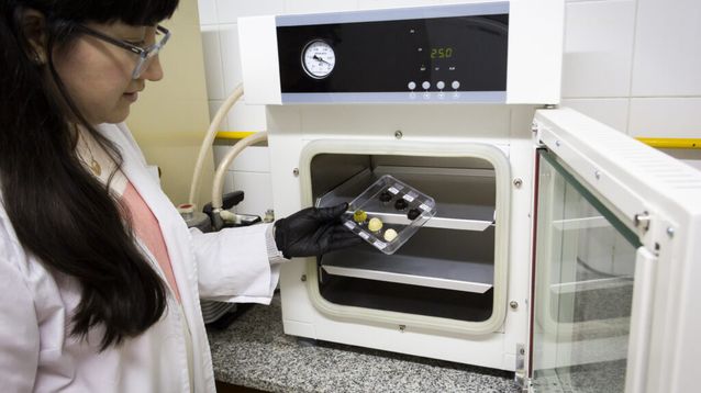 Desarrollan medicamentos que no tienen presentación pediátrica en  forma de gomitas masticables