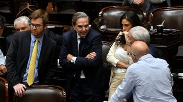 Pichetto, durante la sesión de hoy. (Telam)