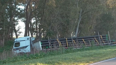 El camión involucrado en el siniestro quedó en la banquina.