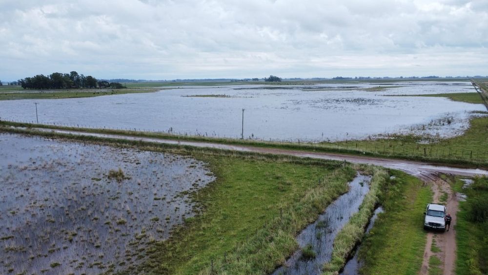 Un campo inundado en el corazón de la provincia de Buenos Aires.