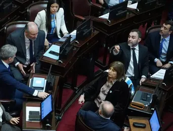 El bloque de La Libertad Avanza en Senadores.&nbsp;