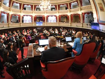 La sesión en el Senado bonaerense.&nbsp;