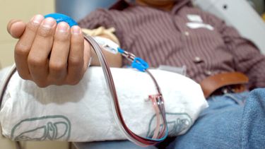 La donación es indolora y no genera ningún trastorno para la salud.