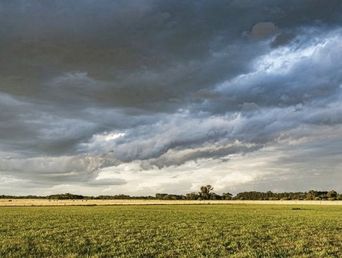 Se vienen las lluvias. Se vienen las lluvias.