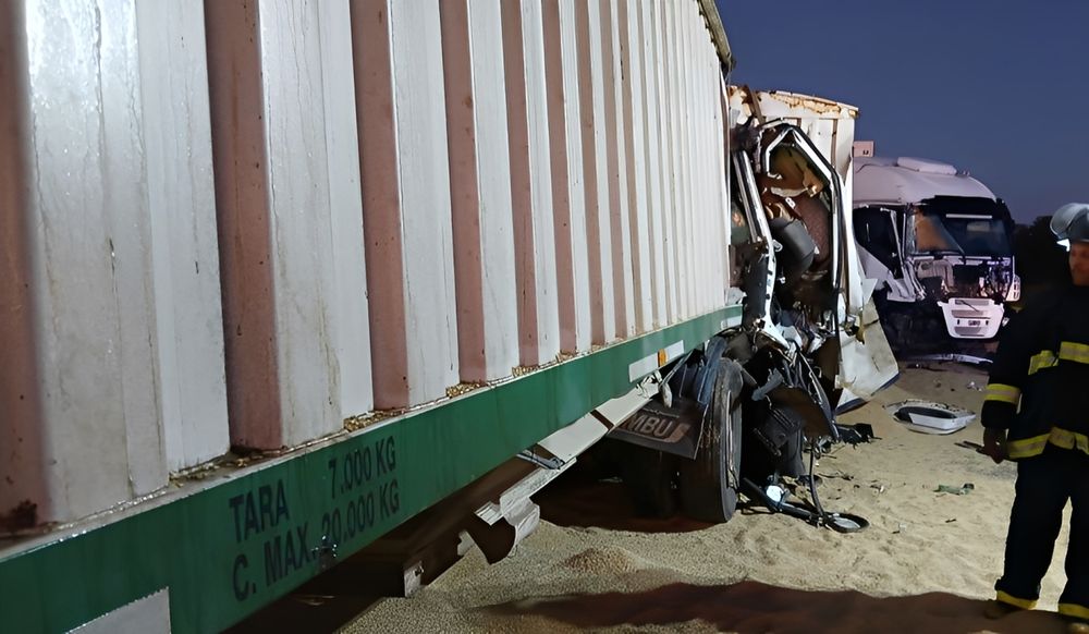 El fatal accidente en la RN 228 involucró a cuatro camiones. (Noticias Necochea)