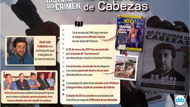Infografía: DIB