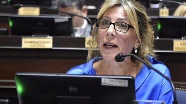 Diarios Bonaerenses | Sil Vaccarezza reducida 696x631.jpg